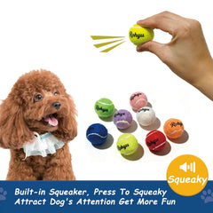 Balles Rohyu mini de tennis, taille 1,57 pouces pour petites gueules.