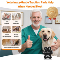 Roilpet adhesifs-hypoallergeniques-pattes-chien adhèrent sans irriter la peau.