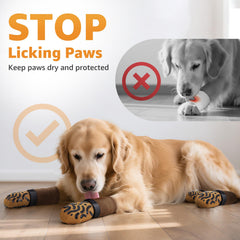 Roilpet chaussettes confort seniors XL pour mobilité en douceur.