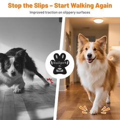 Roilpet protections pattes stabilisent chaque pas, idéal pour mobilité réduite.