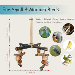 ROOJUNE jouets de mastication naturels pour occuper et entretenir le bec.