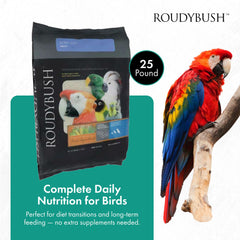 RoudyBush pellets faible graisse détail, texture adaptée pour repas quotidiens des oiseaux.