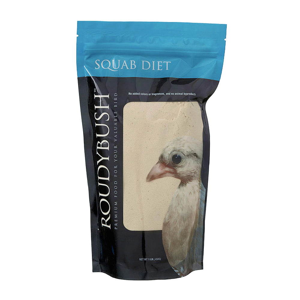 RoudyBush poussin colombiforme nourri avec sécurité et facilité.