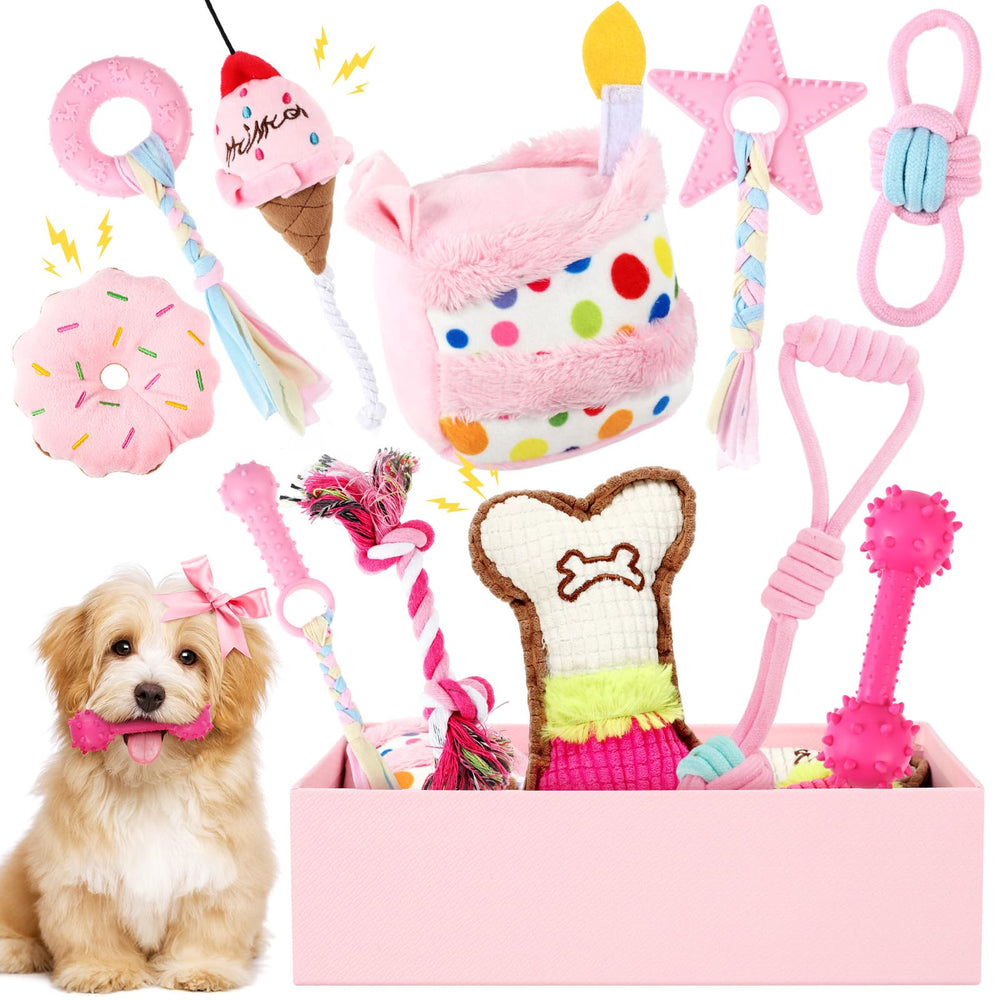 RoundFunny jouet gâteau anniversaire chien, prêt pour fête