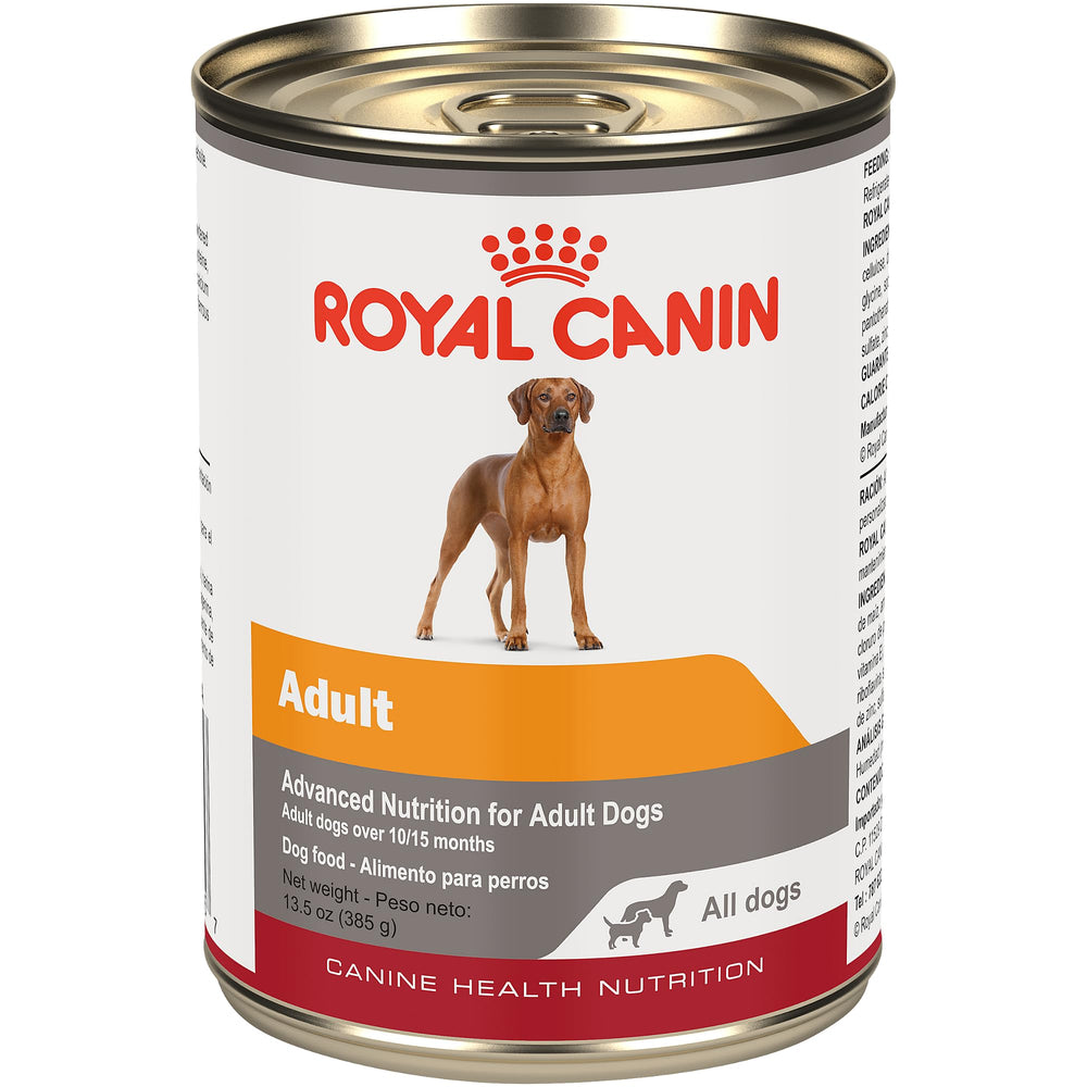 Royal Canin aliment humide en gel pour chien adulte dans un bol pratique.
