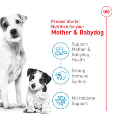 Royal Canin antioxydants vitamine E et C pour le soutien immunitaire.