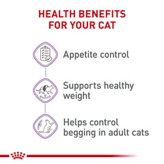 Chat adulte ROYAL CANIN Appetite Control, régime adapté 1-7 ans.