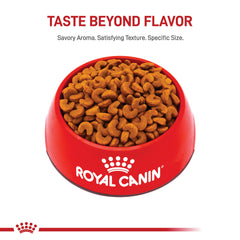 ROYAL CANIN Bouledogue Français Chiot — barrière cutanée renforcée pour une peau saine.