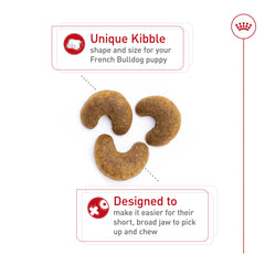 ROYAL CANIN Bouledogue Français Chiot — digestion équilibrée et flore intestinale.