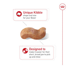 Bol-repas ROYAL CANIN Boxer Adulte avec croquettes pour repas quotidien