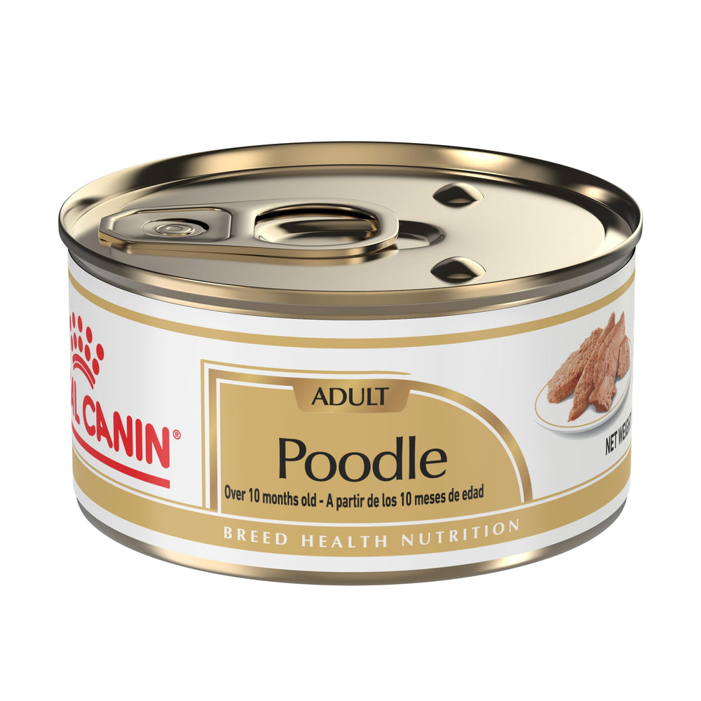 ROYAL CANIN Caniche Adulte pâté en sauce en terrine, texture appétissante