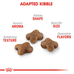Royal Canin chaton croquettes texture facile à mâcher pour petites bouches.