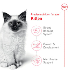 Royal Canin chaton soutien immunitaire avec antioxydants et vitamines.
