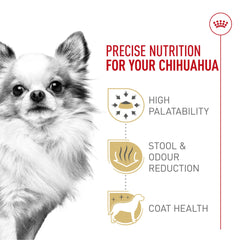 ROYAL CANIN Chihuahua Adulte : arômes exceptionnels pour les chats difficiles.