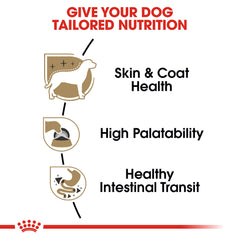 Royal Canin Chihuahua pâté en sauce stimule l’appétit et la satiation