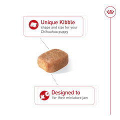 Royal Canin Chihuahua Puppy : soutien immunitaire avec vitamine E.