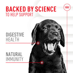 ROYAL CANIN Chiot – dose journalière affichée sur l'emballage