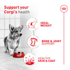 Royal Canin Corgi Adult – croquettes-pelage-sain et appétit équilibré