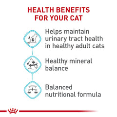 ROYAL CANIN croquettes sèches — texture appeatente.