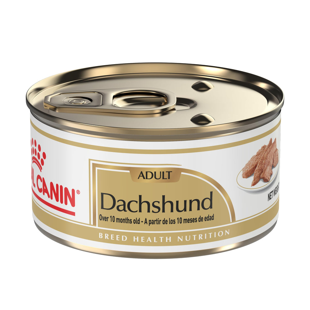 Emballage Royal Canin Dachshund Loaf en Sauce, pratique pour lot de 24 boîtes.