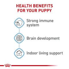 Royal Canin DHA, développement cerveau chiot