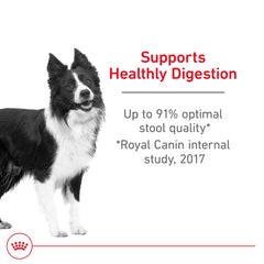 Royal Canin prébiotiques et fibres intégrés, soutien digestif potentiel.