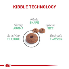 Royal Canin Digestive Care: prébiotiques et fibres soutiennent la digestion du chat.