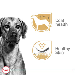 Royal Canin formule enrichie en vitamines B et minéraux pour le pelage.