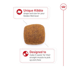 Royal Canin Golden Retriever — nutriments clés pour peau et poil sains.