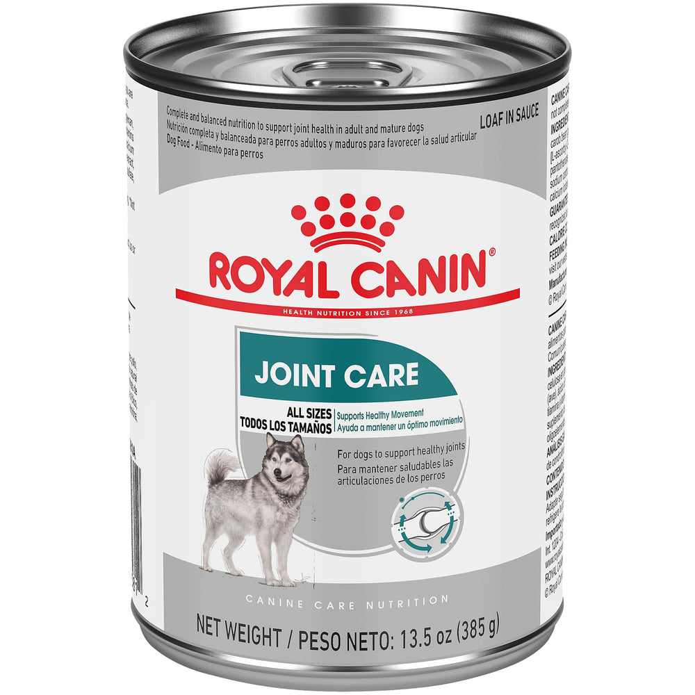 Royal Canin Gros Chien Terrine en Sauce — emballage pratique pour grands chiens.