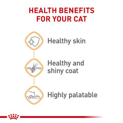 Poil brillant après dégustation grâce à Royal Canin Hair & Skin Care Loaf en Sauce.
