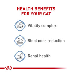 Texture des croquettes ROYAL CANIN Indoor 7+ facilitant la mastication des seniors.