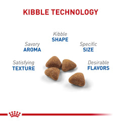 Royal Canin Indoor Adulte – croquettes digestibles pour soutien digestif.