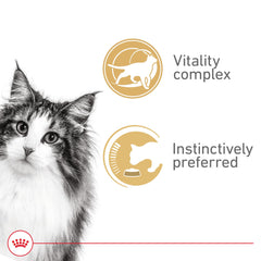 Étiquette du Royal Canin Instinctif 7+ visible, indication de formulation adaptée