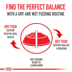 ROYAL CANIN Instinctive 7+ pack de 12 boîtes 3 oz, option pratique pour les repas.