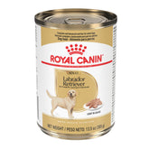 Royal Canin Labrador Retriever pate en sauce, texture appétente pour chien adulte actif.