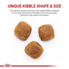 Royal Canin Maine Coon croquettes forme cube: texture conçue pour mâcher facilement