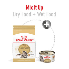 Royal Canin Maine Coon os et articulations soutenus pour un grand chat