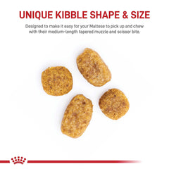Royal Canin Maltais Adulte – soin peau et poil avec biotine et oméga.