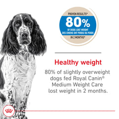 Croquettes Royal Canin Medium Weight Care dans un bol, goût appétissant et satiété.