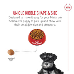 Soutien immunitaire avec antioxydants dans la formule ROYAL CANIN Miniature Schnauzer Puppy