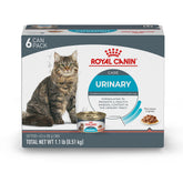 Royal Canin Feline Care – tranches fines en sauce qui favorisent l'hydratation lors du repas.
