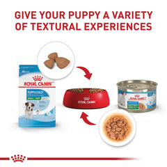 Royal Canin alimentation complète pour chiots de petite race, format humide.