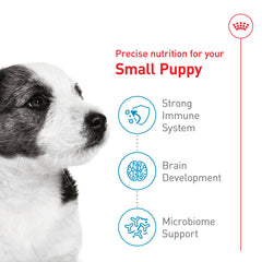 Royal Canin immunité renforcée par des antioxydants naturels.