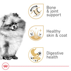Pelage brillant et peau saine grâce à EPA et DHA – Royal Canin Pomeranian