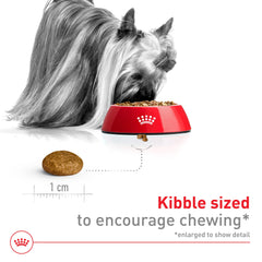 Royal Canin protéines digestes et fibres – soutien du microbiome et de la digestion.