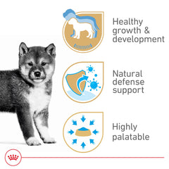 ROYAL CANIN – complexe d'antioxydants soutenant le système immunitaire en développement.