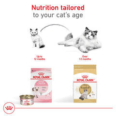 ROYAL CANIN RAGDOLL cœur sain soutenu par taurine et oméga-3