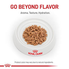 Royal Canin Renal Support T, boite-6x3oz: emballage pratique pour portions faciles.