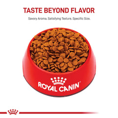 Royal Canin croquettes-puppy-taille-moyenne-seches texture croquante appréciée par les chiots.